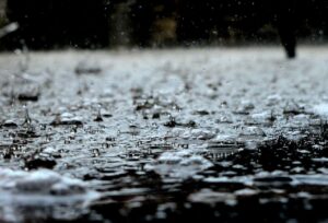 Bescherm je regenafvoer tegen verstoppingen en terugstroming