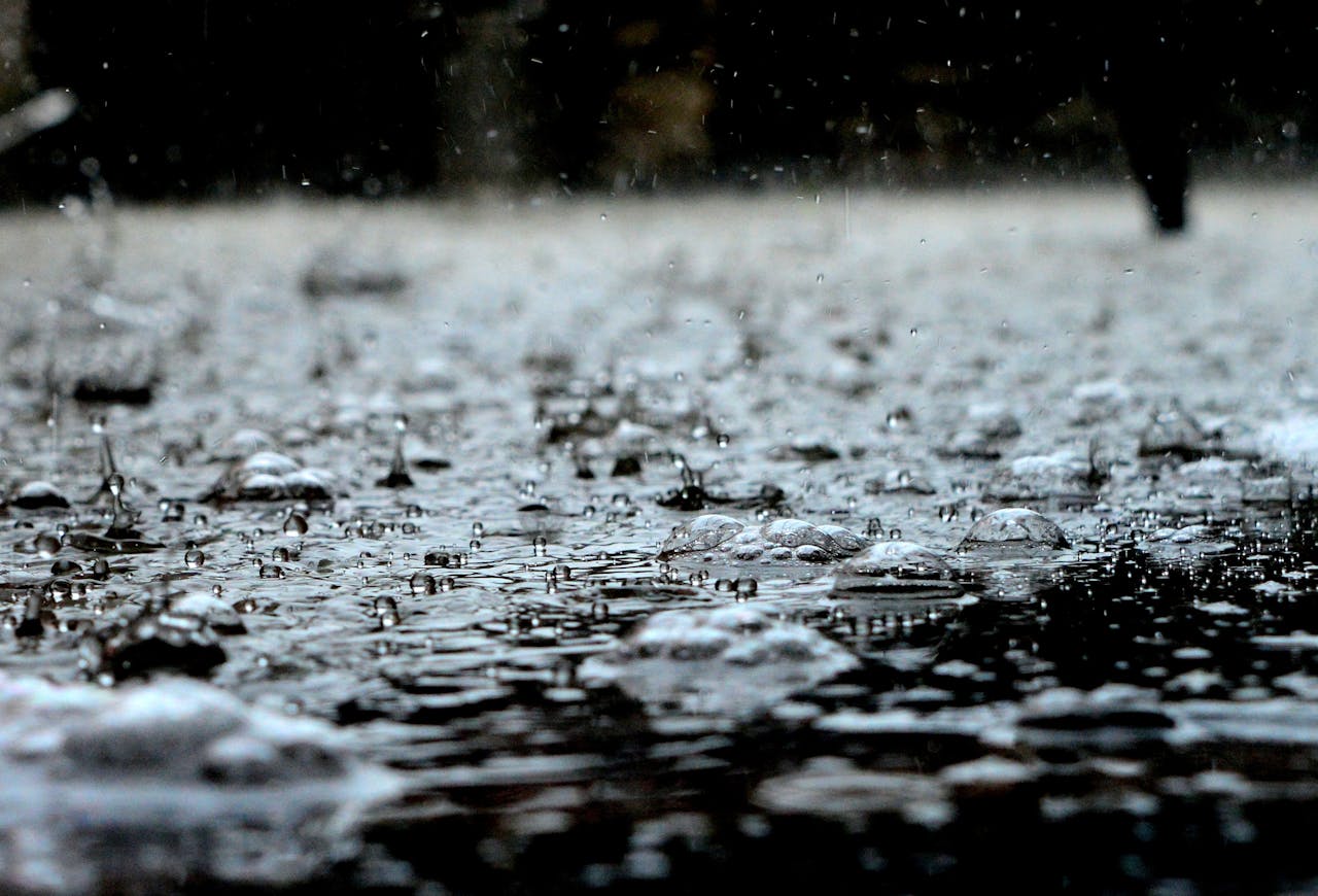 Bescherm je regenafvoer tegen verstoppingen en terugstroming