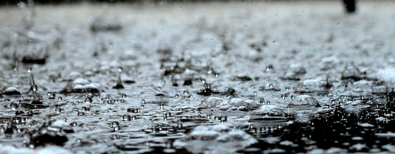 Bescherm je regenafvoer tegen verstoppingen en terugstroming